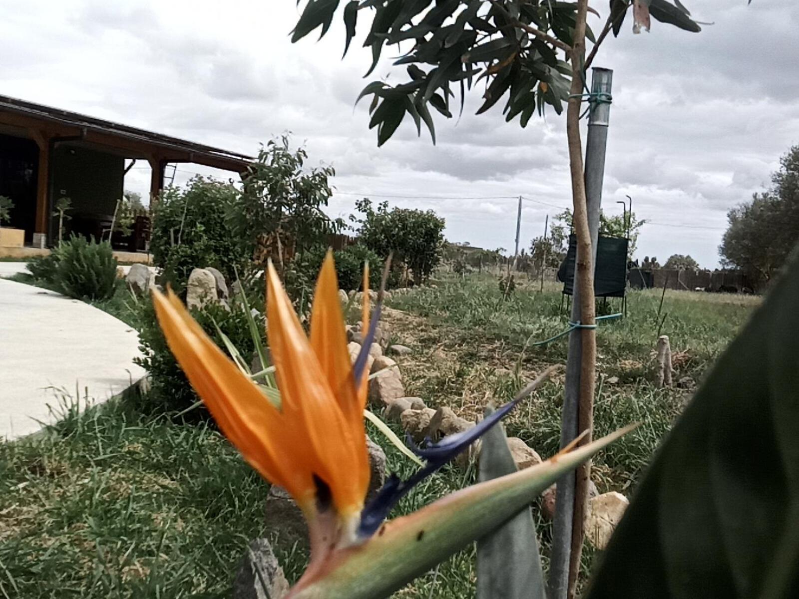 Podere Kiri Dome Experience Decimomannu Εξωτερικό φωτογραφία