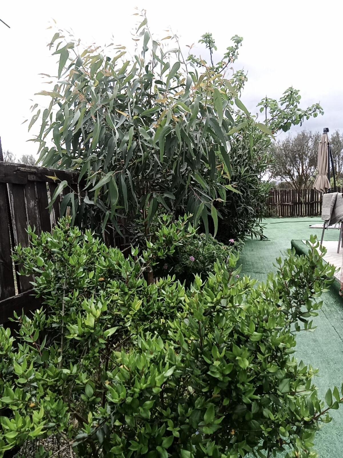 Podere Kiri Dome Experience Decimomannu Εξωτερικό φωτογραφία